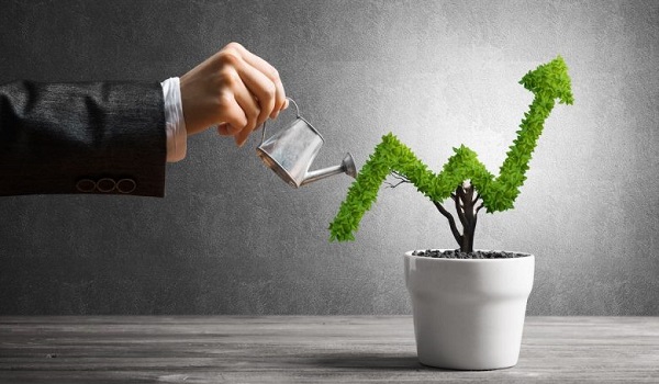 Prestige Park Ridge Investment