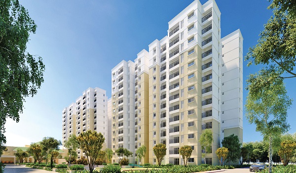 What is the Price of a 1 BHK Flat in Bangalore?